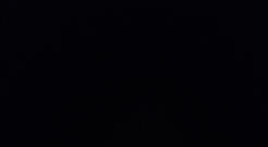 Calor, coisas de terror/susto, vegetais e leguminosas, escuro/barulhos altos, ratos/baratas e etc, pessoas preconceituosas e etc..